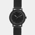 Windsor Watch